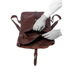 aunts & unclesSparrow