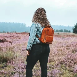 The Chesterfield BrandBellary